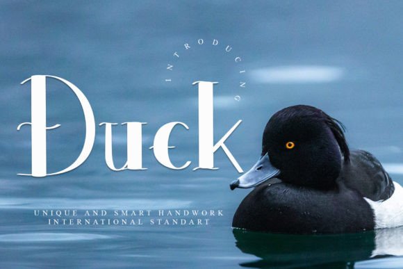 Duck Handwritten Display Font for Crafty Projects