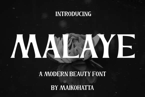 Malaye Display Font for Bold Web Headers