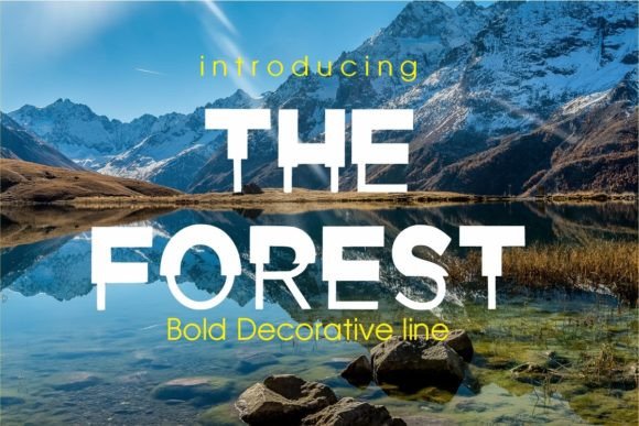 The Forest Typeface: A Bold Display Font for Handmade Branding